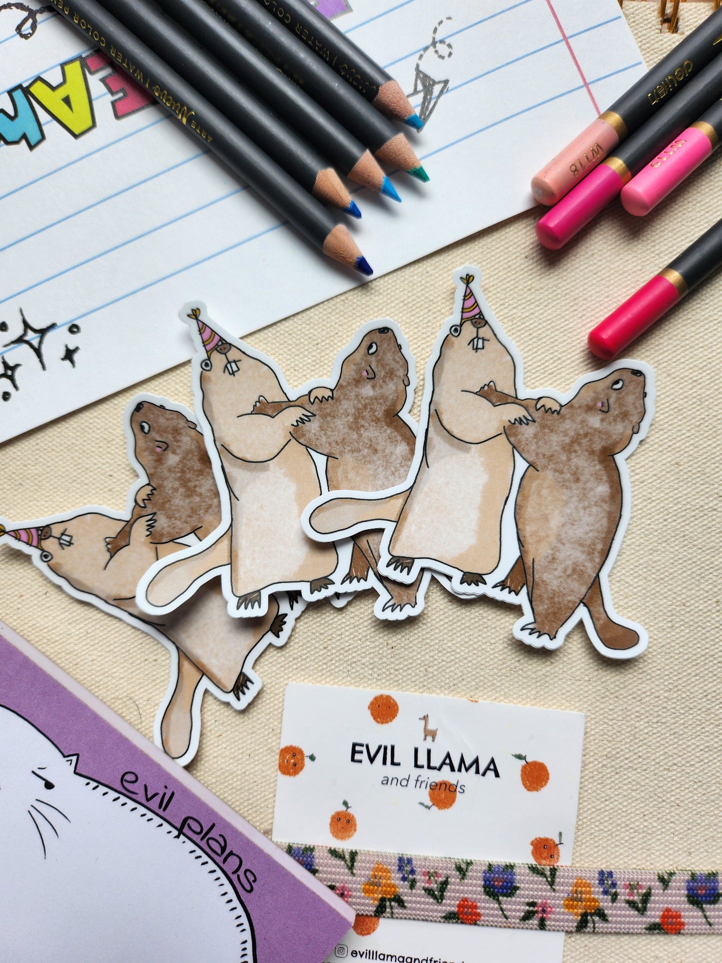 3 marmot stickers on a beige background, surrounded by colouring pencils and other stationery items
