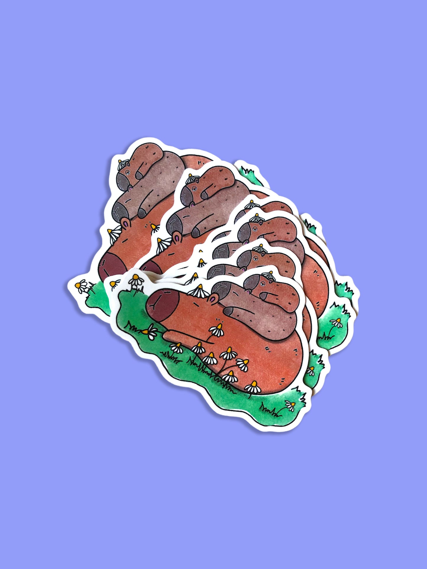capybara sticker