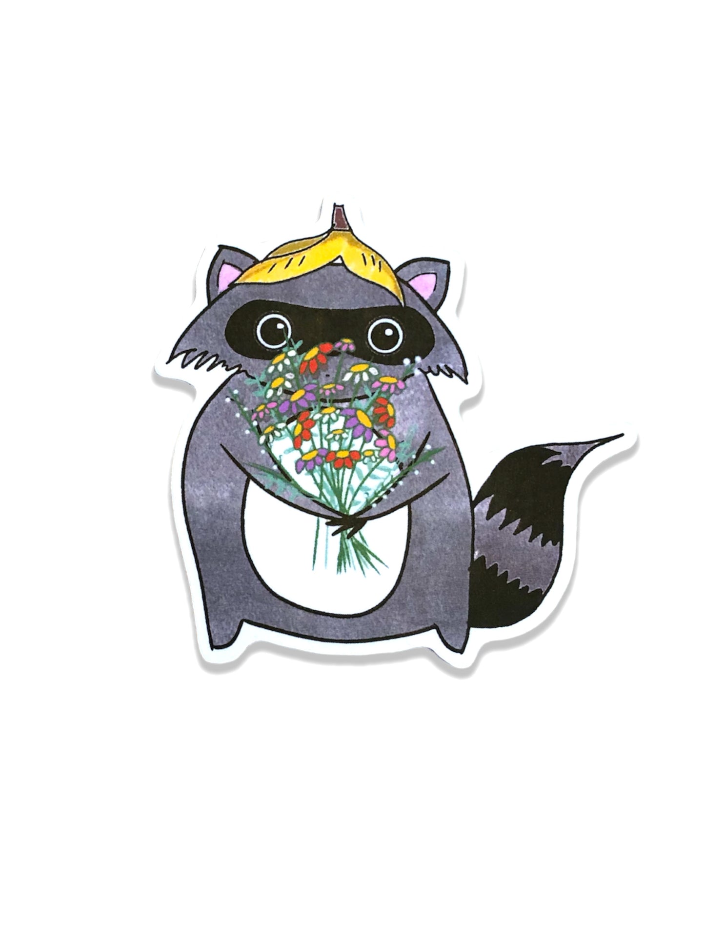 raccoon sticker