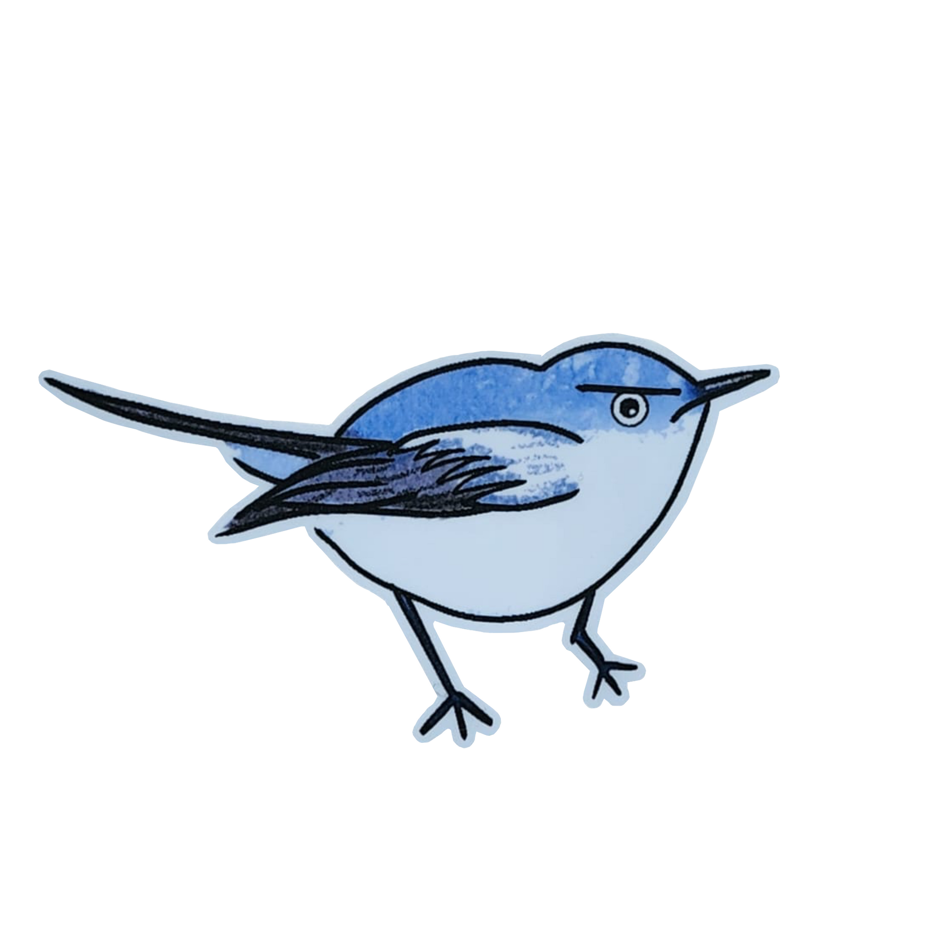 gnatcatcher bird sticker on a white background