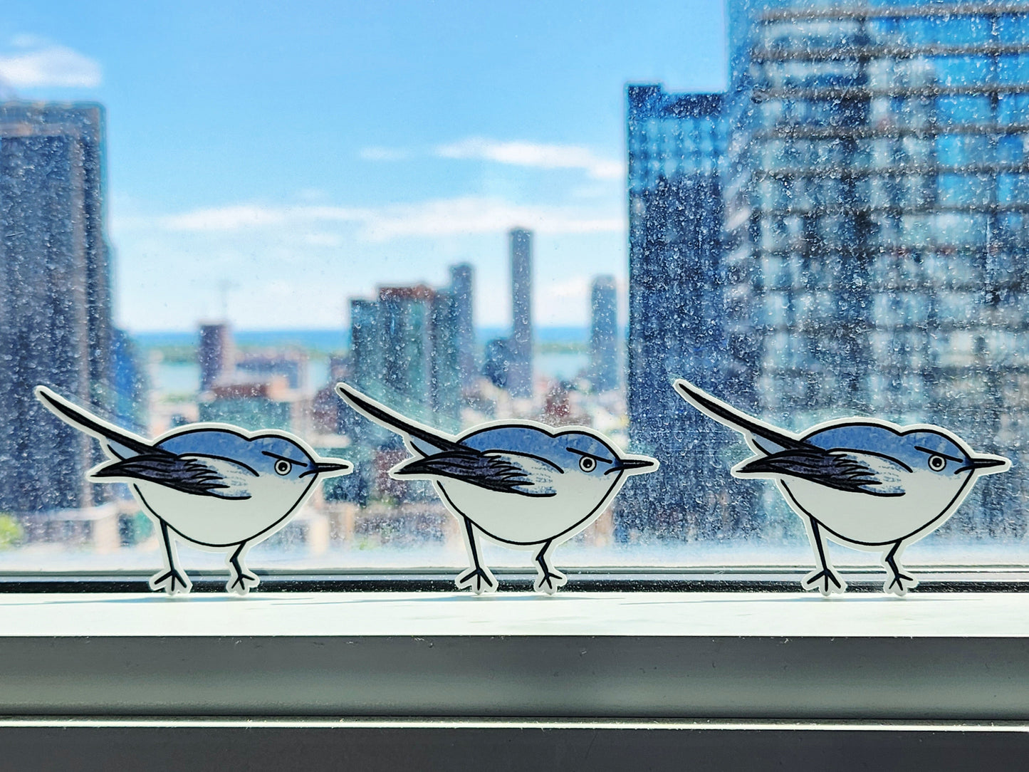 Three gnatcatcher stickers on a window with a cityscape background