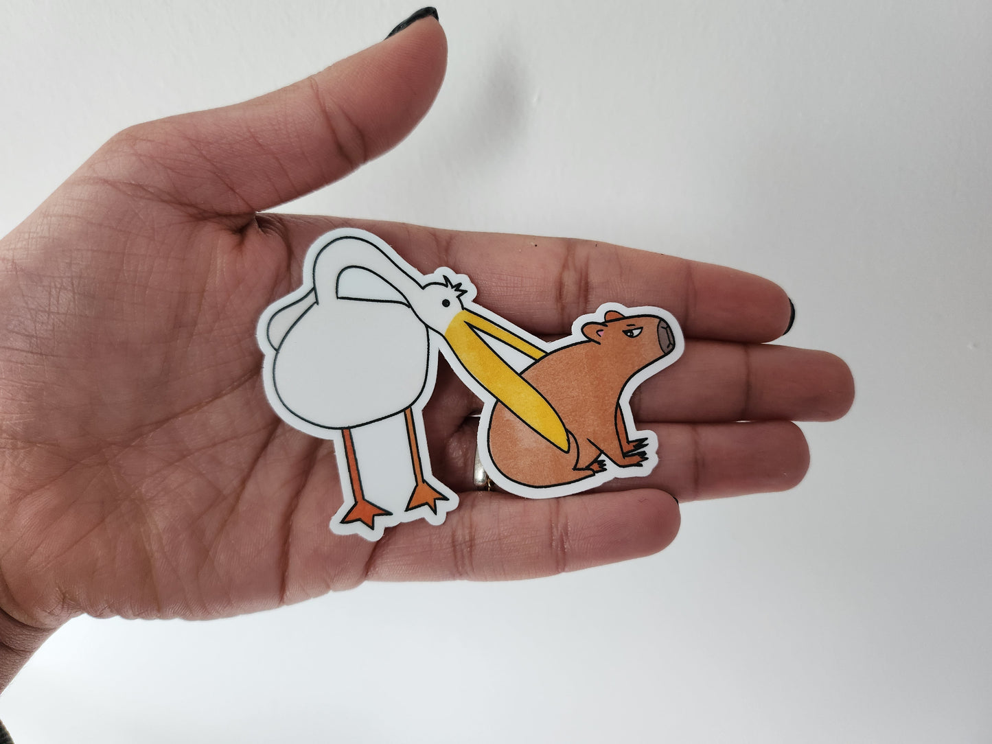 hand holding a sticker of a pelican trying to eat a capybara