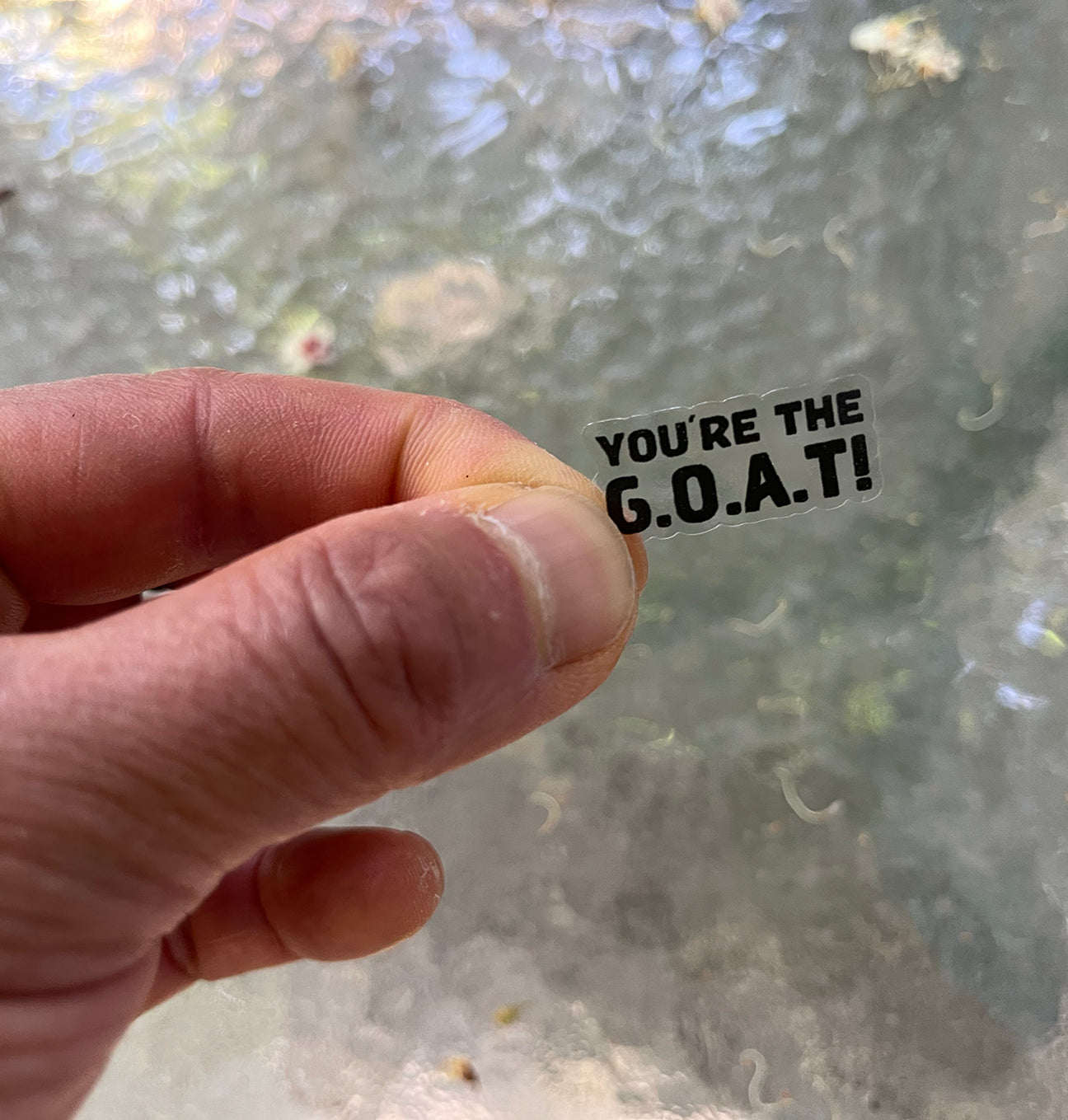 Hand holding a small transparent sticker with text reading "You're the G.O.A.T" in front of a textured glass background