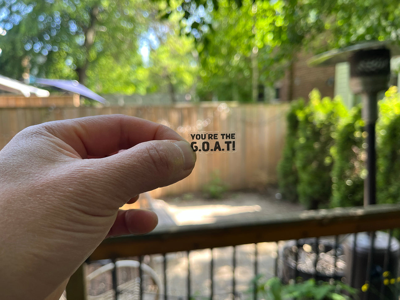 Hand holding a small transparent sticker with 'YOU'RE THE G.O.A.T!' text in a backyard setting